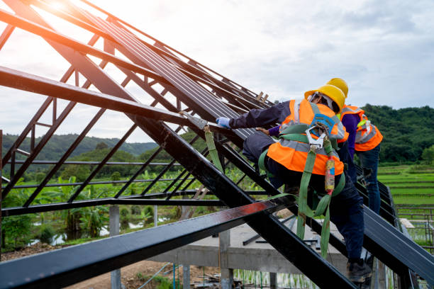 Best Metal Roofing Contractor  in Montgomery, OH