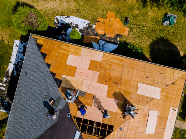 Best Commercial Roofing Services  in Montgomery, OH
