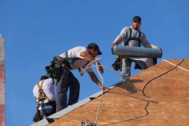 Best Roof Maintenance Services  in Montgomery, OH