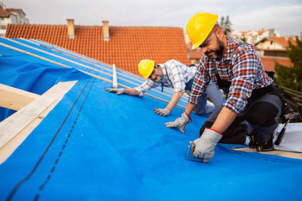 Best Roof Leak Repair  in Montgomery, OH